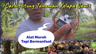Alat Menghitung Tanaman Kelapa Sawit dan Alasan Dihitung?
