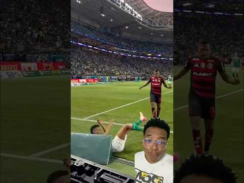 Profesionalismo