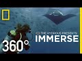 Coral Reefs and Ocean Conservation