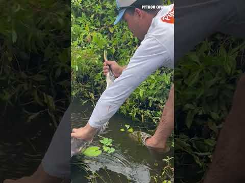 My Crew Rescued A Blue Heron That Was Hooked With A Lure