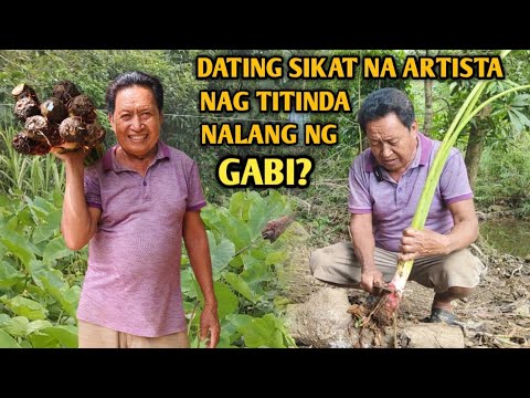 TOTOO BA ITO? DATING SIKAT NA ARTISTA NAG TATANIM NALANG NG GABI NGAUN?