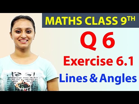 Q 6, Ex 6.1, Chapter 6 - Lines & Angles, Mathematics Class 9, NCERT