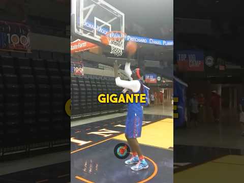 ¿Qué PASÓ con Tacko Fall???