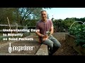 Understanding Days to Maturity for Seeds