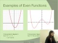 Characteristics of Polynomial Functions