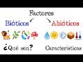 Elementos de un Ecosistema