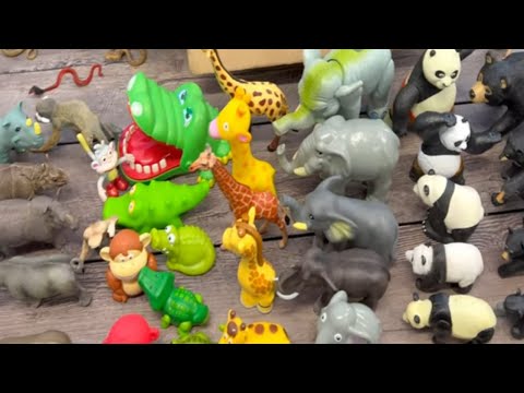 Counting to 5 for Toddlers with Various Animal Toys