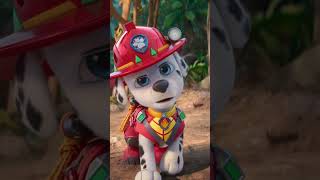 Marshall conhece Rhubarb, o T-Rex! 🦖 | PATRULHA CANINA: UMA AVENTURA DINO (2026)