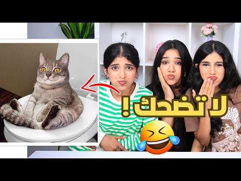 اتحداك ما تضحك بالفيديو هذا !!! جزء الثاني 2 عقاب لخسران شفا