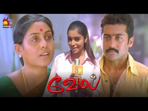 என்னப்பா இவன் வீட்டுக்கு கூட்டிட்டு வந்துருக்க | Vel Movie scenes | Suriya | Asin | Vadivelu