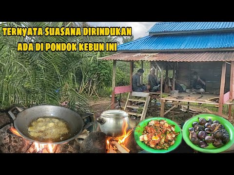 masak segar hasil buruan,makan malam terenak di pondok kebun