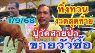 ทิ้งทวนสุดท้าย!! #ปู่วัดสายป่า พี่บ่าวมั่นใจขายวัวซื้อ 1/9/68