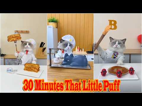 30 Minutes That Little Puff Tiktok Compilation 2024