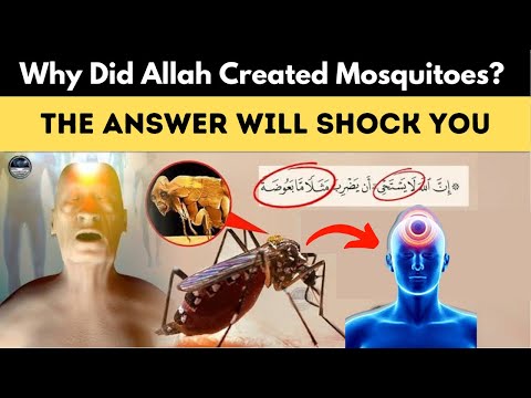 Why Did Allah Create Mosquitoes? The Answer Will Shock You "Miracle of the Quran" | Islamic Lectures