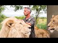 Animal Behavior and Narrator Observations