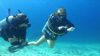 Diving In Vanuatu +678 22398 Nautilus Watersports