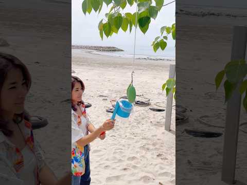 แต่ต่อด้าม จะห่อสูงแค่ไหน ก็ห่อได้ง่าย แถมไวด้วย #ด้ามห่อผลไม้ #diy #ห่อผลไม้กันเเมลง @นายช่างพนธ์