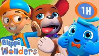 Who’s a good little pup? 🐶✨ | Blippi Wonders Educational Videos for Kids