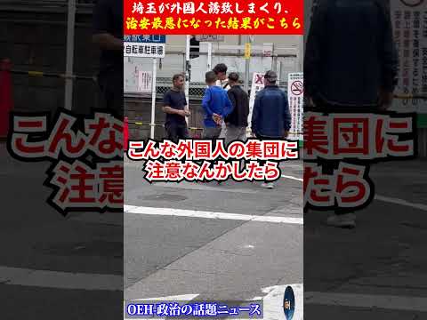 ㊗️180万再生！【ヤバい】埼玉が外国人誘致しまくり、治安最悪になった結果がこちら