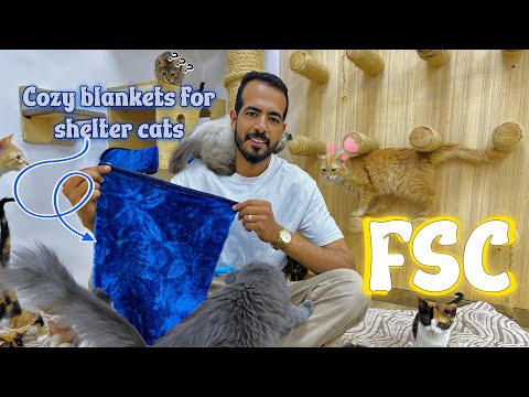 Kind-hearted Man Creates Cozy Blankets For Shelter Cats In Need During Cold Weather