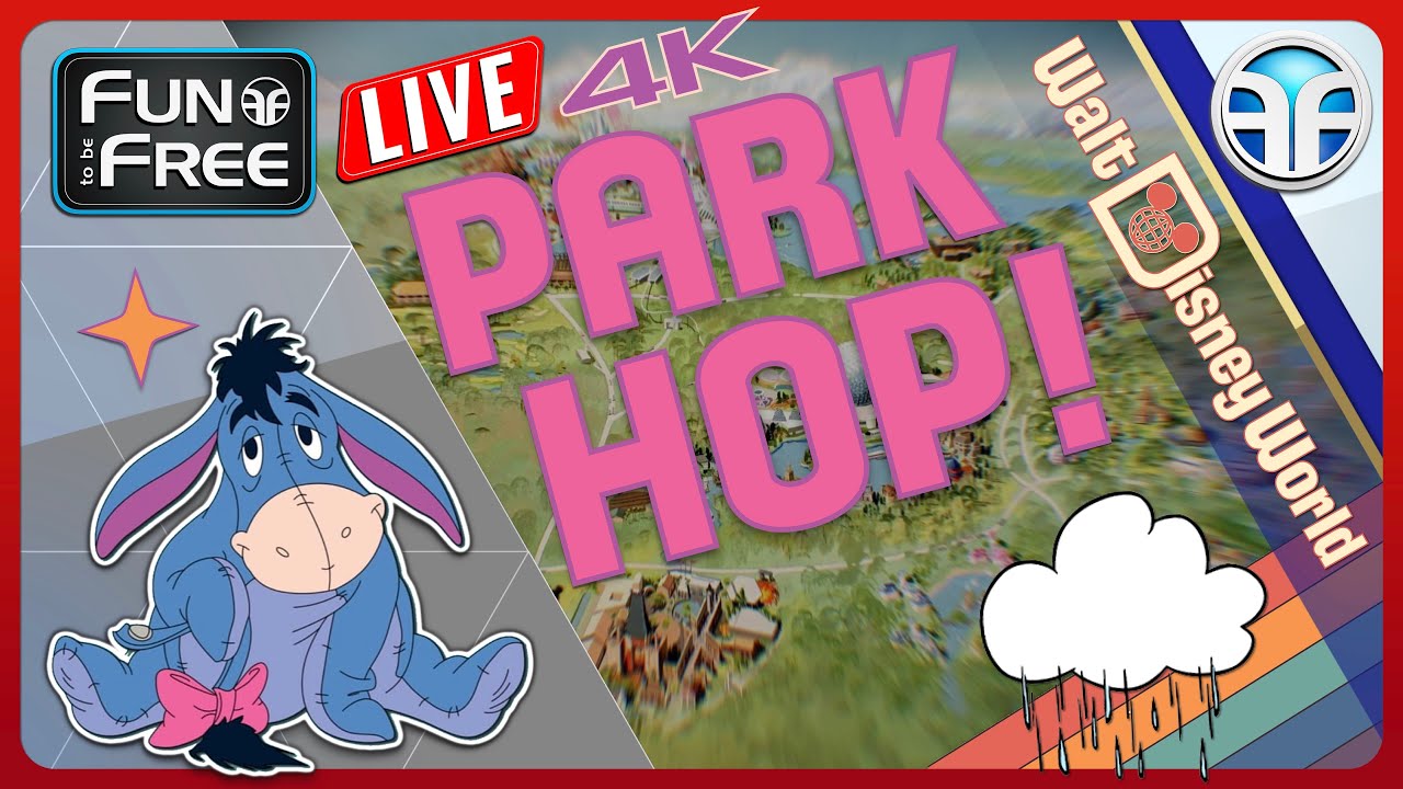 Live webcam of Fun to be Free