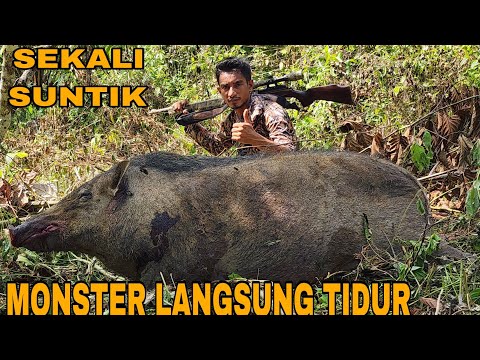 PECAH REKOR_EMPAT POIN DALAM WAKTU SINGKAT