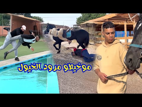 موخيطو في درب ملقب بالفارس😂مرود خيول🐎