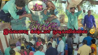 கத்திரி அறுவடை/ இவ்ளோ கஷ்டப்பட்டா இவ்வளவுதான் லாபமா ⁉️/ ஏழுமலை விவசாயி/ கத்திரி தோட்டம் /