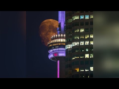 RealestK - Only You (Official Audio)