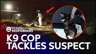 Wounded K9 Rushes Back To Work & Catches Two More Suspects