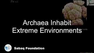 Archaea Inhabit Extreme Environments