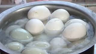 Street Food in Bangladesh! Amazing Best Food Making Skills 2025 |