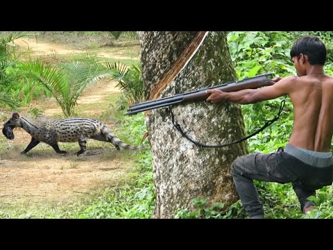 BERBURU MUSANG & ROMBONGAN TUPAI BESAR SIANG DAN MALAM HARI‼️
