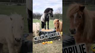 Nechce za mnou přijít 😡😠🥺