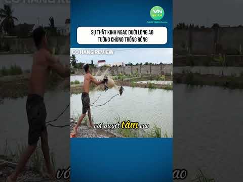 Sự thật kinh ngạc dưới lòng ao tưởng chừng trống rỗng #shorts #khampha #danhbatca