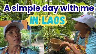 Simple life in Laos 🇱🇦 how I spend my day 