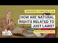Understanding Rights and Freedoms