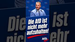 Die AfD ist nicht mehr aufzuhalten!