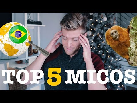 5 MICOS RIDÍCULOS QUE PAGUEI NO BRASIL