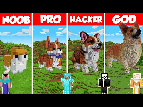 Welsh Corgi Build Battle Challenge - Noob vs Pro vs Hacker vs God - Minecraft Animation