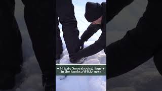 Private Snowshoeing Tour in the Kuoksa Wilderness in Rovaniemi, Lapland