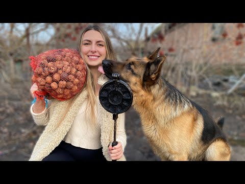 Cooking Cookies Using Soviet Method | Relaxing Village Recipe