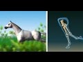 Biological Structures and Functions