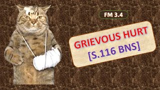 S.116 BNS: GRIEVOUS HURT