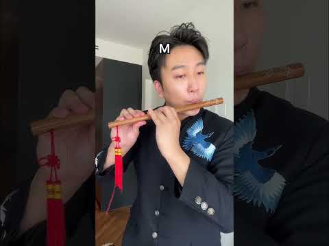 Peppa Pig with Shortest VS Longest Instrument I Own #aylex #peppapig #instrument #flute #clarinet