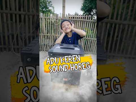 Adu Sound Horeg