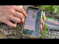 Plant Identification and Classification