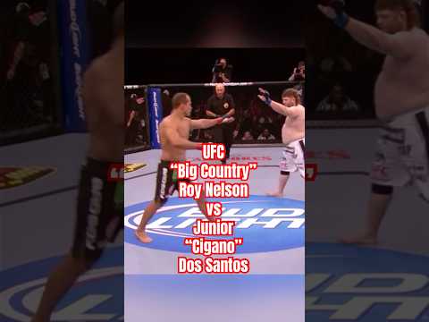 #juniordossantos #roynelson #ufc #onechampionship #junglefight #rizinmma #lfamma #pflmma #mma