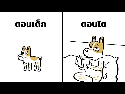 ตอนเด็ก & ตอนโต