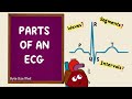 Exploring ECG Waves, Segments, and Intervals